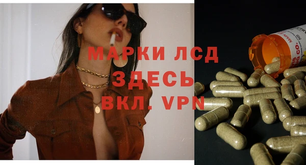 spice Абаза